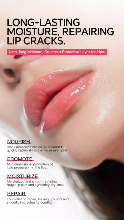 Instant Lip Plumping Essential Oil Nourishing Antiwrinkle Moisturising Sexy Lip Care Ultimate Plumping Lip Gloss Serum Cosmetics